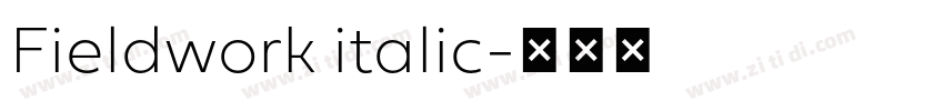 Fieldwork italic字体转换